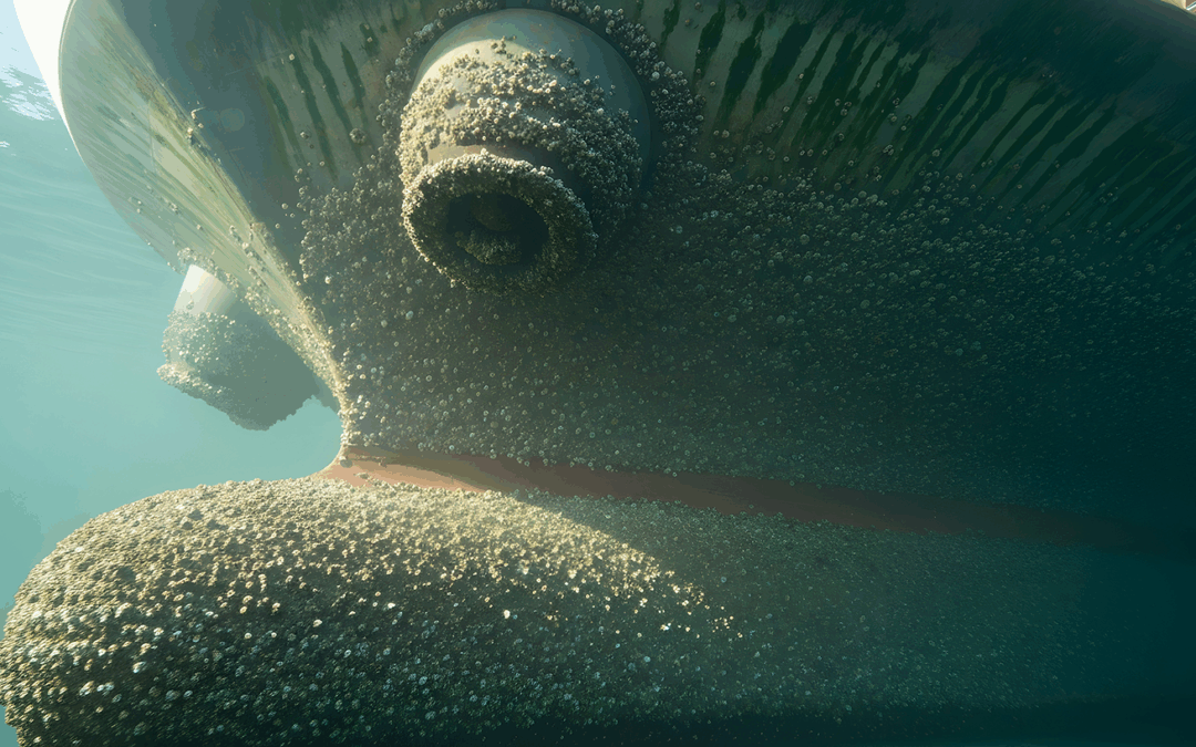 Brazil Makes IMO Biofouling Guidelines Mandatory