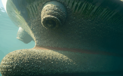 Brazil Makes IMO Biofouling Guidelines Mandatory